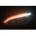 Mercedes S Class W221 06-09 Chrome Projector Headlamp w LED
